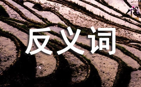 出现的反义词