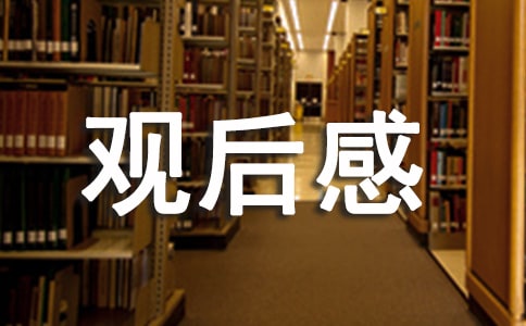 《1942》观后感(通用28篇)