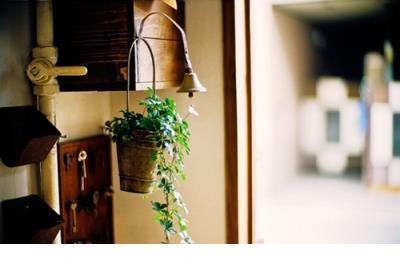 发动态被秒赞的句子 免费刷赞个性签名赞60