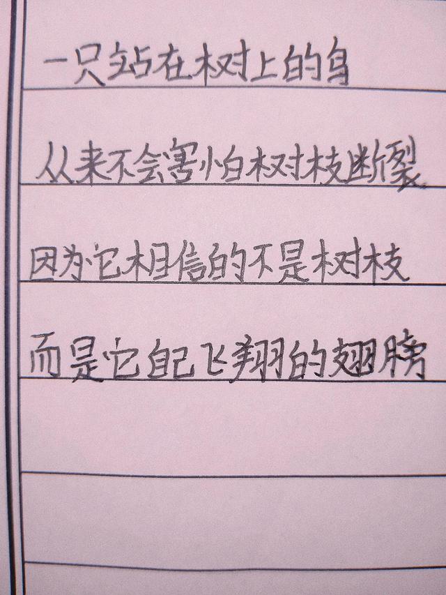 汽车方向盘文案励志(关于汽车的文案) 汽车方向盘文案励志(关于汽车的文案)