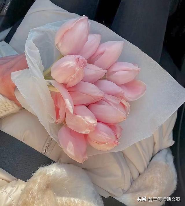学生服装文案励志(女装文案大全) 学生服装文案励志(女装文案大全)