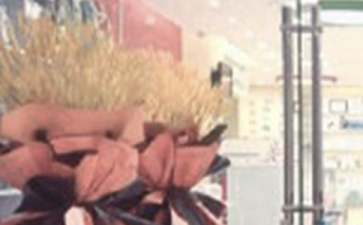 老板新公司开业致辞