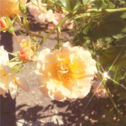 24岁本命年生日说说