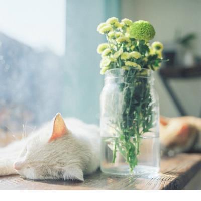 朋友圈早安激励语配图 朋友圈励志说说配图
