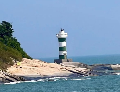 杜鹃花的养殖方法 盆栽杜鹃花的养殖方法及注意事项