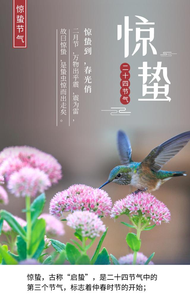 殷诗句文案励志配图(励志语录经典短句) 殷诗句文案励志配图(励志语录经典短句)