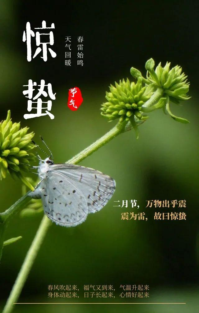 殷诗句文案励志配图(励志语录经典短句) 殷诗句文案励志配图(励志语录经典短句)