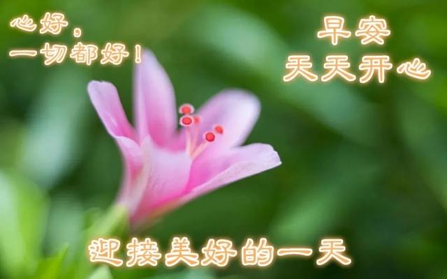 殷诗句文案励志配图(励志语录经典短句) 殷诗句文案励志配图(励志语录经典短句)