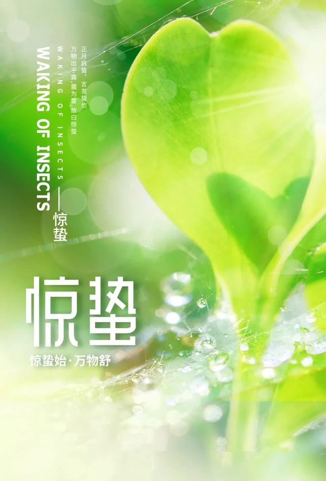 殷诗句文案励志配图(励志语录经典短句) 殷诗句文案励志配图(励志语录经典短句)