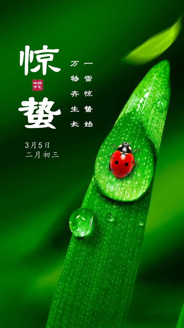 殷诗句文案励志配图(励志语录经典短句) 殷诗句文案励志配图(励志语录经典短句)
