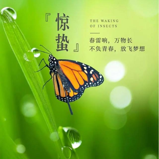 殷诗句文案励志配图(励志语录经典短句) 殷诗句文案励志配图(励志语录经典短句)