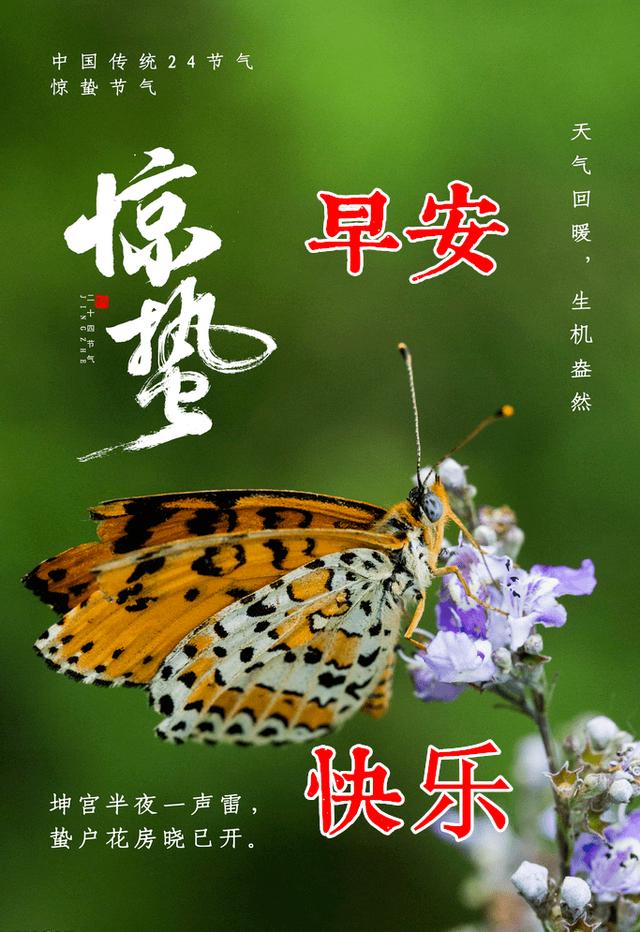 殷诗句文案励志配图(励志语录经典短句) 殷诗句文案励志配图(励志语录经典短句)