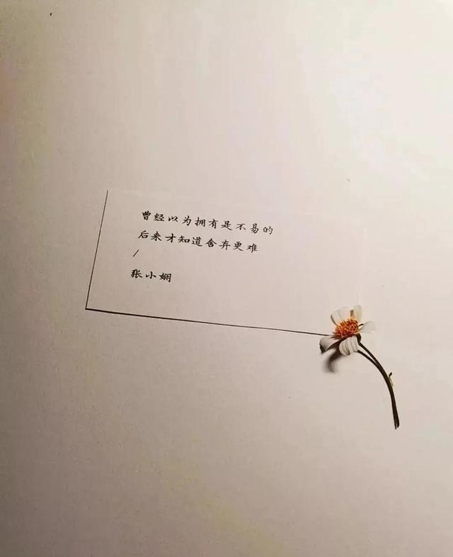 乡村小学励志文案(乡村小学六年级劳动技术教学反思) 乡村小学励志文案(乡村小学六年级劳动技术教学反思)