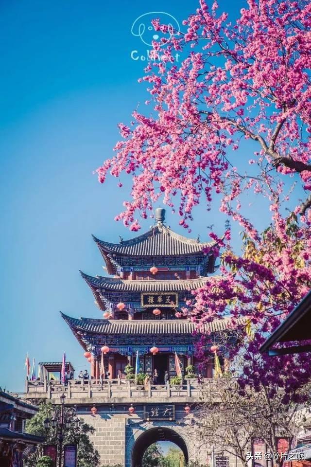 大理洱海文案高级励志(大理洱海发朋友圈文案) 大理洱海文案高级励志(大理洱海发朋友圈文案)