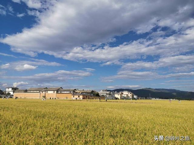 大理洱海文案高级励志(大理洱海发朋友圈文案) 大理洱海文案高级励志(大理洱海发朋友圈文案)