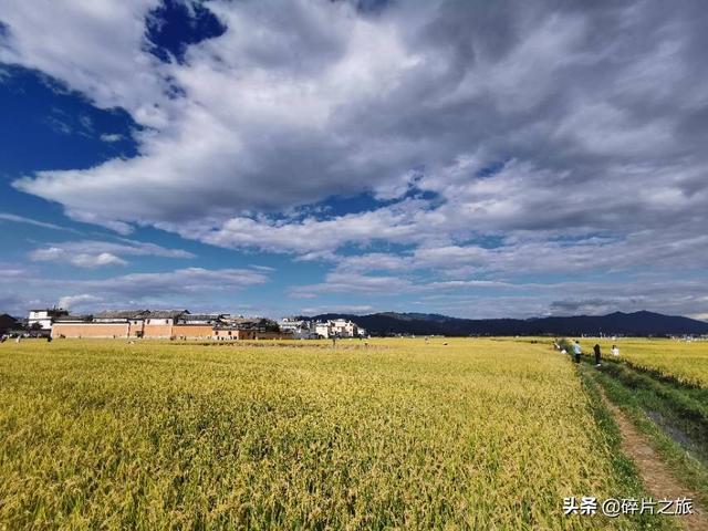 大理洱海文案高级励志(大理洱海发朋友圈文案) 大理洱海文案高级励志(大理洱海发朋友圈文案)