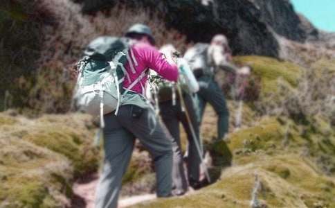 关于爬山的日记3篇