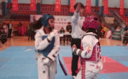 跆拳道比赛策划书