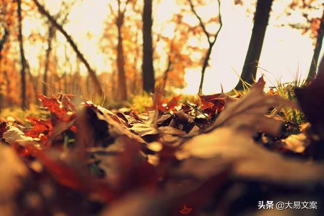十八楼文案励志(有关十八楼的文案) 十八楼文案励志(有关十八楼的文案)