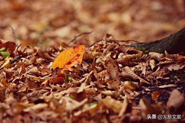 十八楼文案励志(有关十八楼的文案) 十八楼文案励志(有关十八楼的文案)