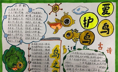保护动物手抄报小学生简单好看精选8张