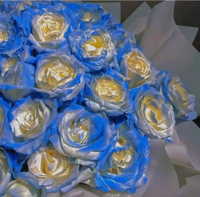 励志学习可爱文案(可爱励志文案简短) 励志学习可爱文案(可爱励志文案简短)