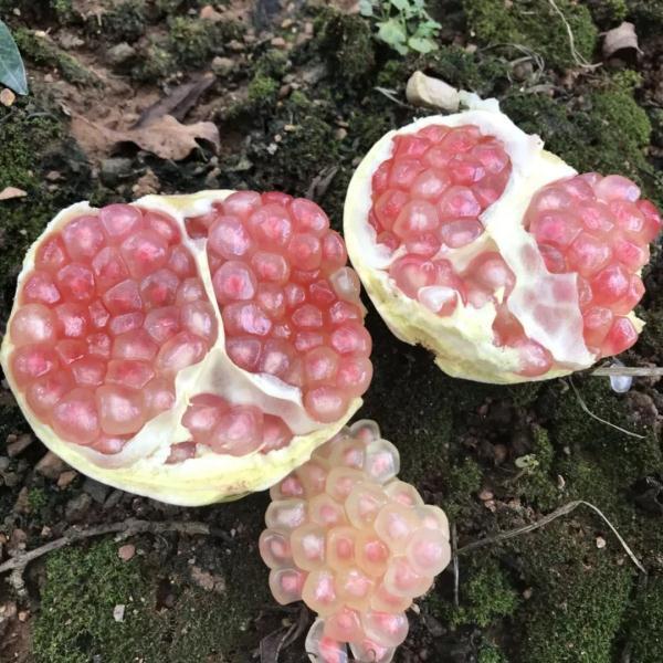 蒙自婚纱文案励志(婚纱照朋友圈文案) 蒙自婚纱文案励志(婚纱照朋友圈文案)