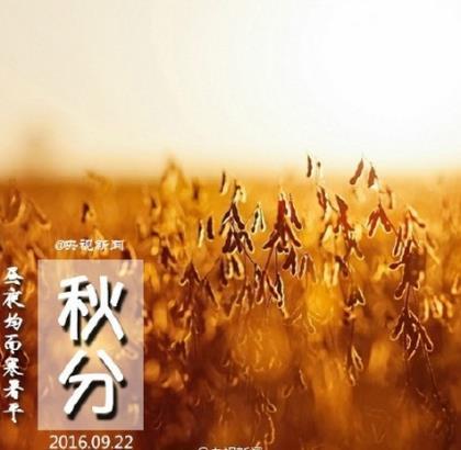 人生无奈的句子说说心情短语 躺在阳台上，晒太阳，玩我的手机