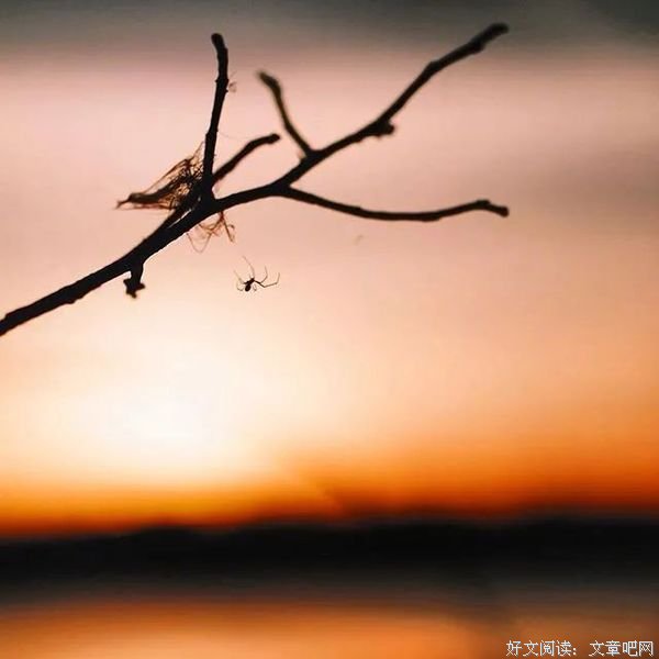 适合发朋友圈的45句人间绝句，越读越有味道！