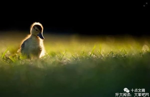 2021年最犀利毒辣的社会语录(太精辟!) 2021年最犀利毒辣的社会语录(太精辟!)