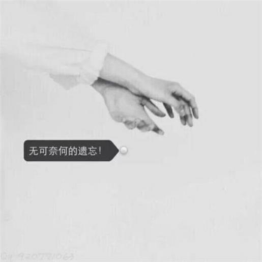 伤感语录表达心情失落 表达敬仰之情的语录