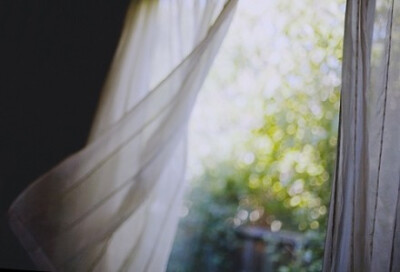 曾是一缕沐人的清风