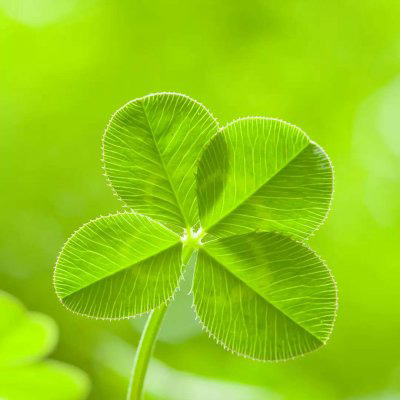 适合做微信头像的照片