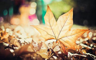 放好心态，失去的东西，不要悲伤