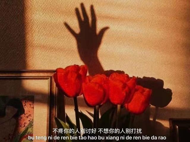 对前任文案励志长句(挽回文案让前任哭) 对前任文案励志长句(挽回文案让前任哭)
