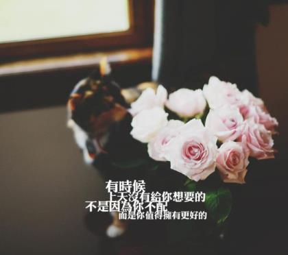 唯美珍惜的短语 开心句子说说心情短语