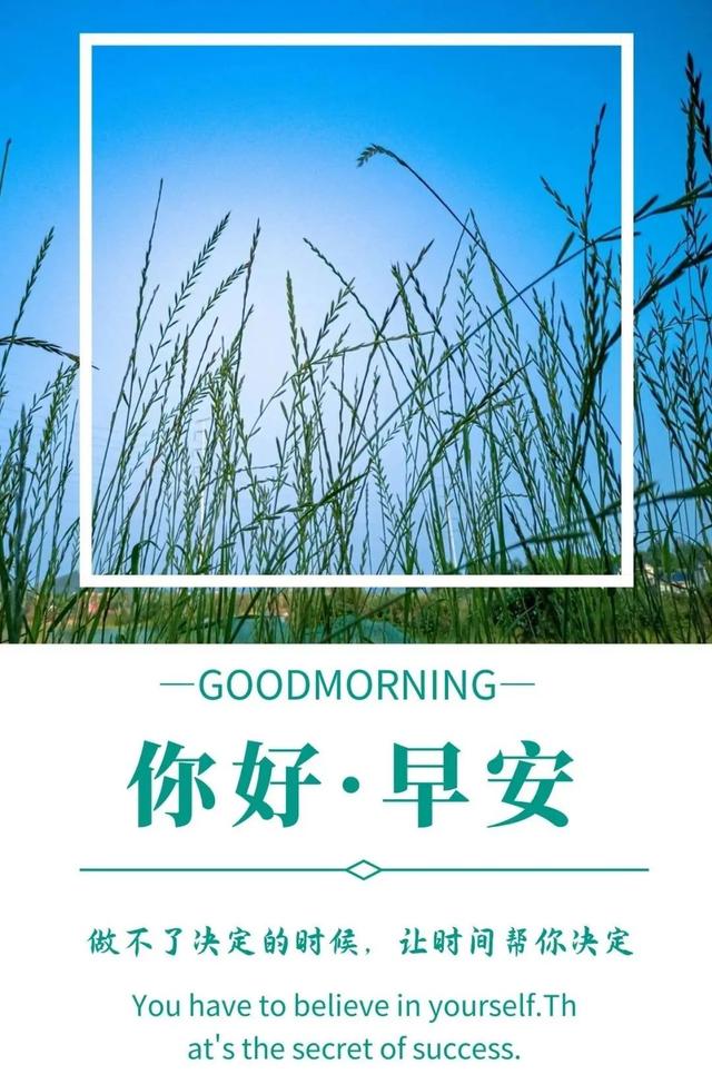 努力学习的励志文案配图(励志文案正能量治愈干净配图)