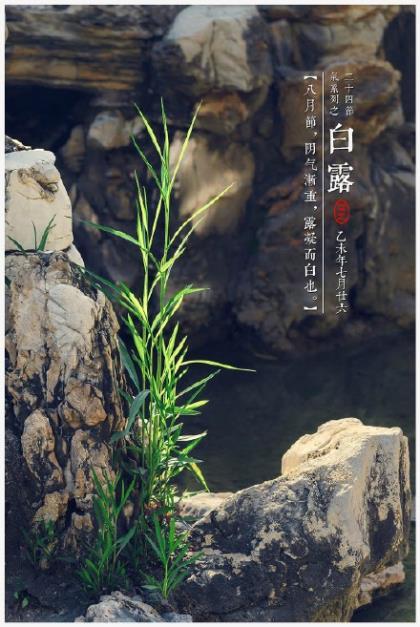 2020年元旦短信祝福语 给领导元旦祝福语短信