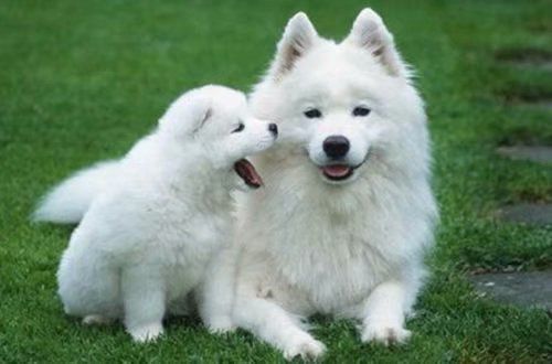 超拽男生空间霸气说说2020最新版