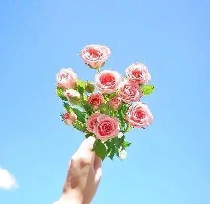 2020高考走心励志霸气句子，读后让人斗志昂扬！