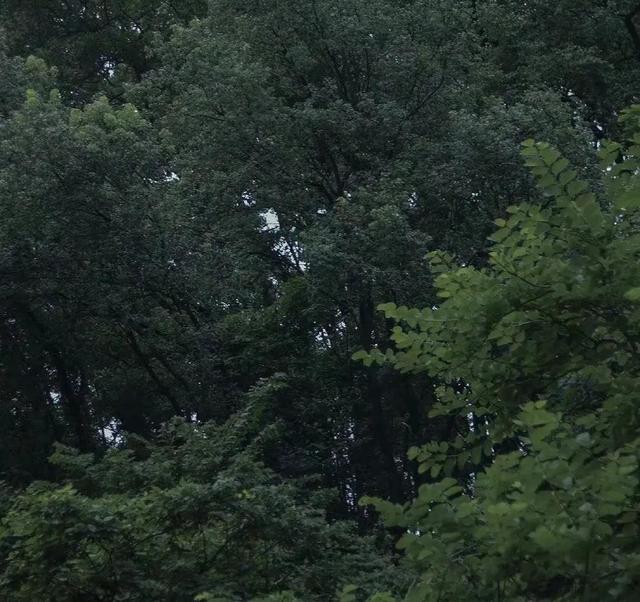 郊区故事文案励志(有故事的文案短句) 郊区故事文案励志(有故事的文案短句)