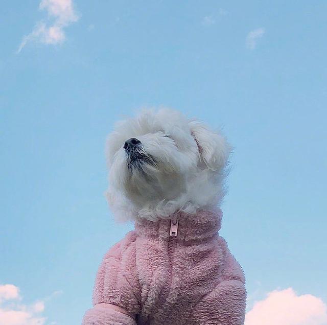 适合发朋友圈的早安话语，句句箴言，越读越优秀！