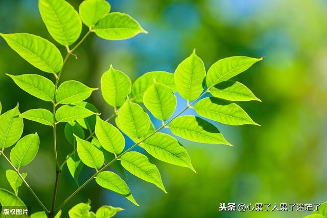 励志又爱又恨的文案(励志情感文案) 励志又爱又恨的文案(励志情感文案)