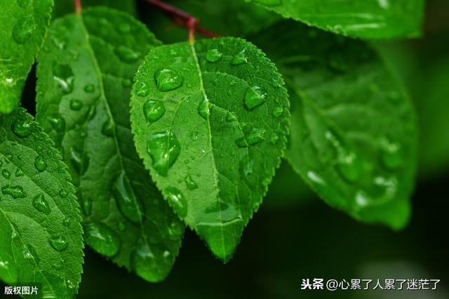 励志又爱又恨的文案(励志情感文案) 励志又爱又恨的文案(励志情感文案)