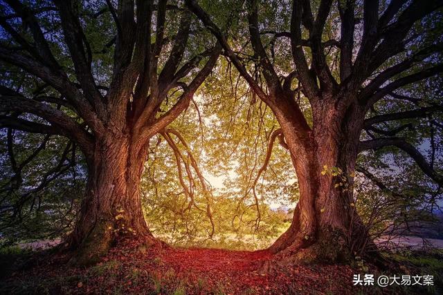 开学日的文案句子励志(青春励志长篇文案) 开学日的文案句子励志(青春励志长篇文案)