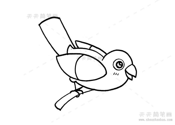 简笔画1一3岁宝宝简笔画小鸟的画法小鸟简笔画怎么画简单好看