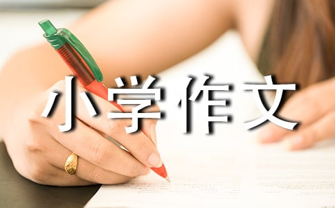 小学作文500字6篇【热】