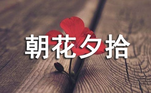 朝花夕拾读后感300字（精选32篇）
