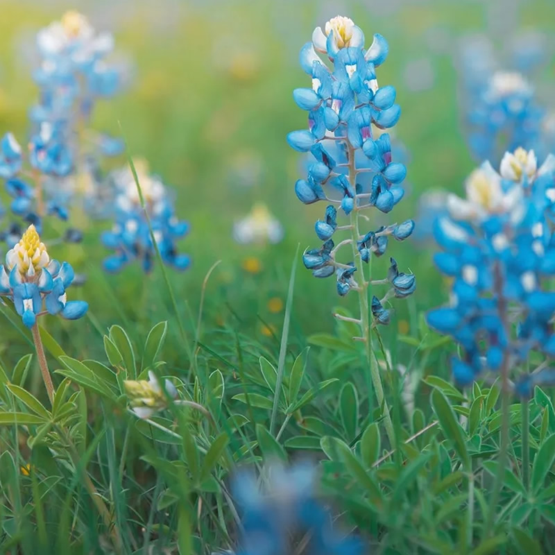 适合做微信头像的照片