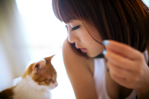 民主生活会报告范文5篇